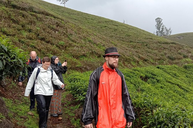 Munnar Letchmi hills Trekking - Munnar Letchmi Hills trek: why this feels worth your time