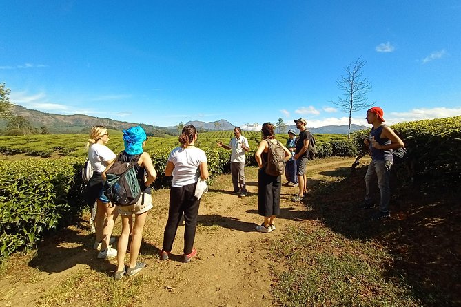 Munnar Mountain Trekking - Private pacing: why doing it without crowds changes the whole day