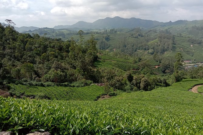 Munnar Mountain Trekking - What’s included (and the one thing to double-check)