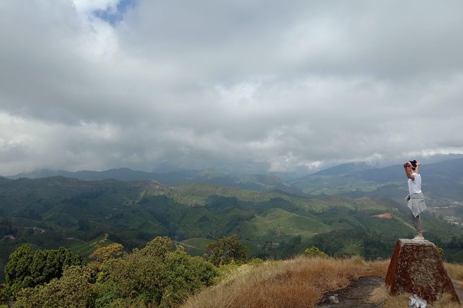 Munnar Mountain Trekking - Tea-garden paths and the slower way to see Munnar