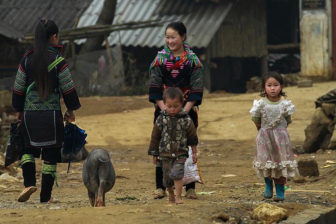 Muong Hoa Valley Trek & Homestay Experience - 4D3N - Starting at Sapa Church: The 9am Rhythm and Group Size
