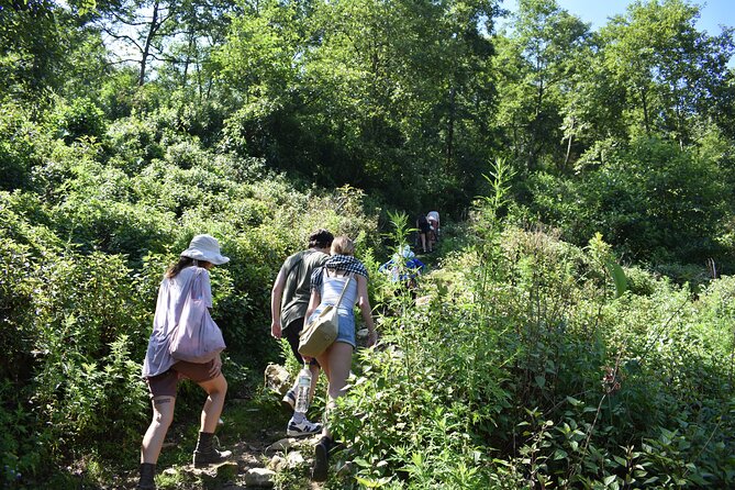 Muong Hoa Valley View & Village Trek in Sapa 1 Day - Sapa market stop: brocade, spices, and the daily rhythm you came for