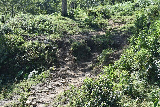 Muong Hoa Valley View & Village Trek in Sapa 1 Day - Muong Hoa Valley village stop: cliff-side roads and changing views