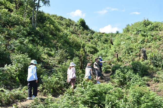 Muong Hoa Valley View & Village Trek in Sapa 1 Day - Hau Thao: rice terraces and the sea of white clouds