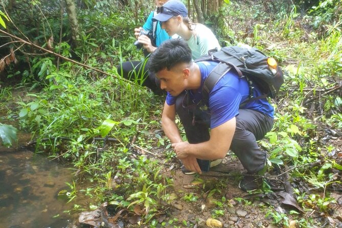 My Son sanctuary and mountain trekking - My Son sanctuary: Hindu monuments, Champa context, and a calmer pace