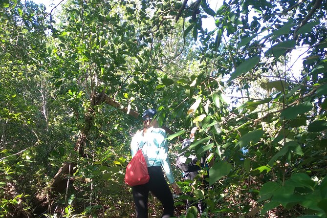 My Son sanctuary and mountain trekking - Stream-side breaks and snacks: built-in “slow travel” time