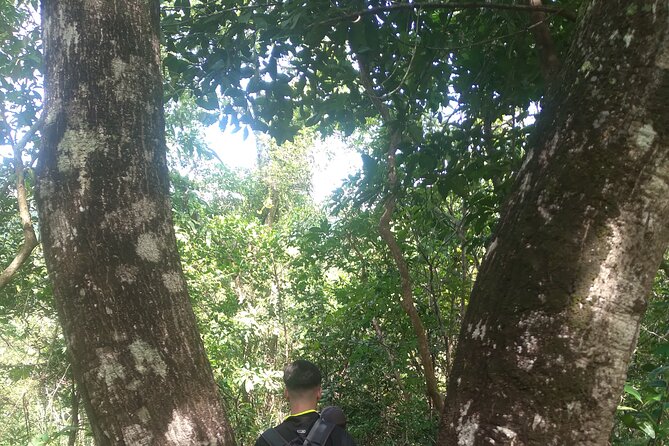 My Son sanctuary and mountain trekking - Lunch and coffee: the included meal plan (and what to expect)