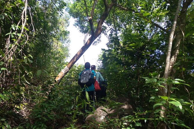 My Son sanctuary and mountain trekking - Price and logistics: is $59 worth it here?