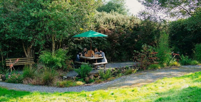 N. Ireland: Award Winning Guided Scenic Alpaca Trekking - Who This Trek Is Best For (And Who Might Want Something Else)