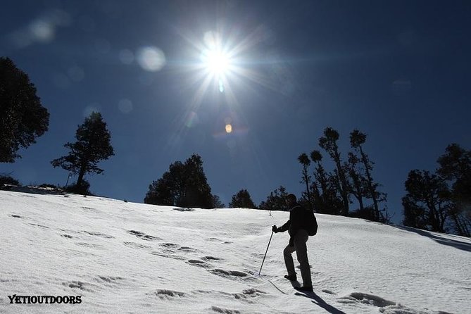 Naag Tibba Trek - Key things that make this Naag Tibba trek work