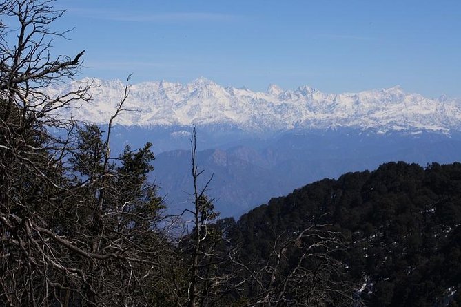 Naag Tibba Trek - Camping and meals: why staying fed changes everything