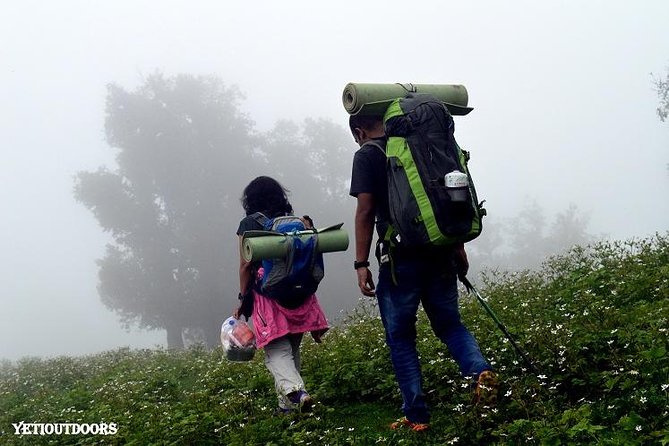 Naag Tibba Trekking and Hiking 2 Nights and 3 Days - Naag Tibba basics: a beginner summit with serious views