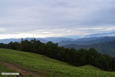 Naag Tibba Trekking and Hiking 2 Nights and 3 Days - Day 1: Pantwari to Naag Tibba Base for forest trekking and your first camp