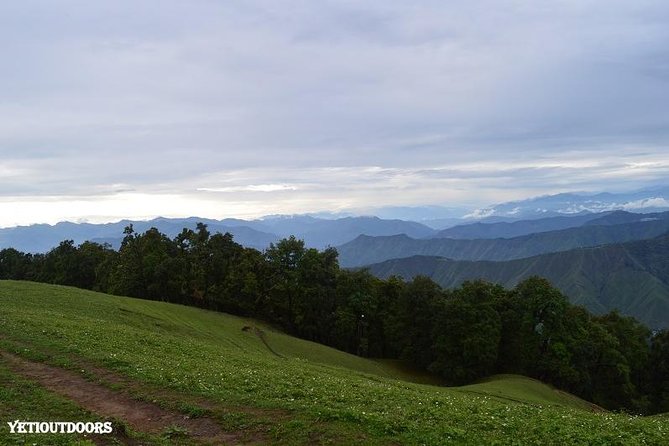 Naag Tibba Trekking and Hiking 2 Nights and 3 Days - Day 1: Pantwari to Naag Tibba Base for forest trekking and your first camp