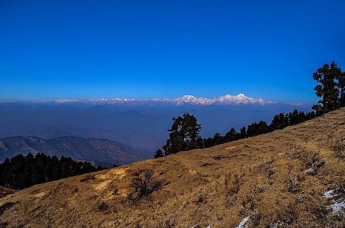 Nag Tibba 2 Days Trek (Pantwari to Pantwari) - Tents, food, and the camp vibe that makes it feel worth $24