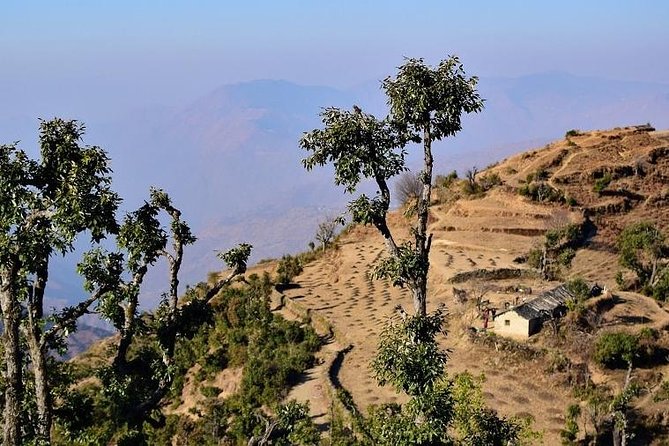Nag Tibba 2 Days Trek (Pantwari to Pantwari) - Price and value: how $24 stretches into a real mountain weekend