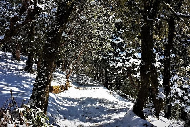 Nag Tibba 2 Days Trek (Pantwari to Pantwari) - What to pack for a 2-day Nag Tibba trek (without overthinking)