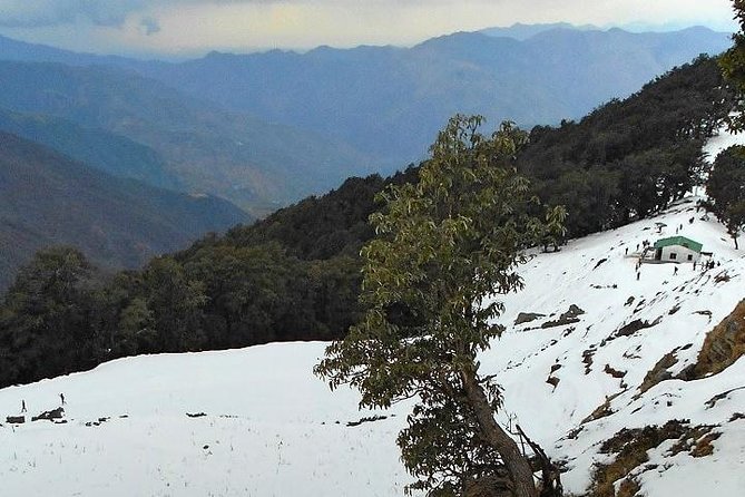 Nag Tibba Snow Trek - A Two-Day Himalayan Fix: Nag Tibba from Pantwari