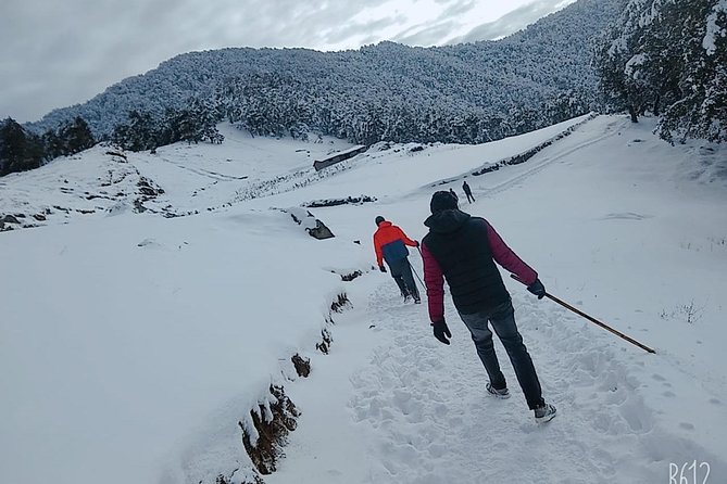 Nagtibba Trek (Dehradun to Dehradun) - Overnight Views and a Sunrise Summit: What Makes Nag Tibba Work