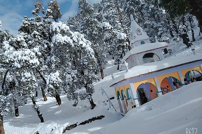 Nagtibba Trek (Dehradun to Dehradun) - Day 2 Summit Start at 3:30am: Sunrise Without Guesswork