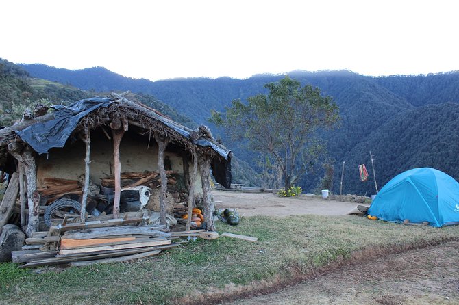 Nagtibba Trek (Dehradun to Dehradun) - Difficulty Level: Not Too Hard, But Don’t Underestimate the Descent