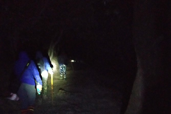 Nagtibba Trek (Pantwari to Pantwari) - Day 1 in the tent camp: food, hot welcomes, and that first taste of altitude