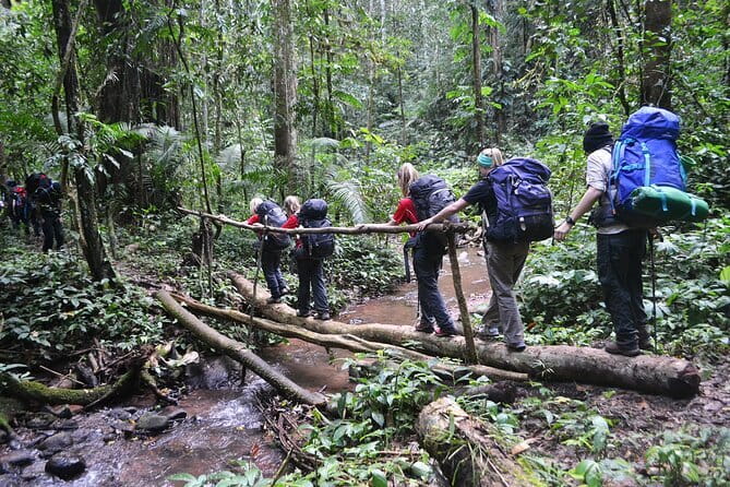 Nalan Trail and Khmu Tribe: 2 Days Trek in Nam Ha NPA - Key things to know before you go