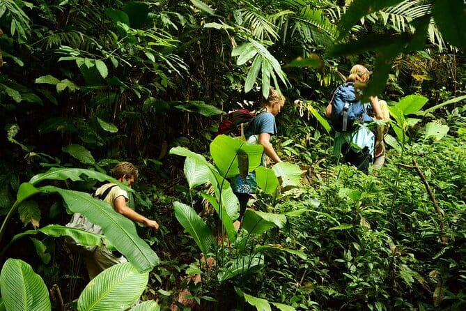 Nalan Trail and Khmu Tribe: 2 Days Trek in Nam Ha NPA - Logistics that reduce stress (and the small things to plan for)