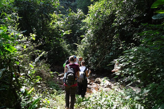 Nalan Trail Kmu Ethnic Experience - 2days forest trek with homestay. - What you’ll actually do in the “hill tribes and villages” part