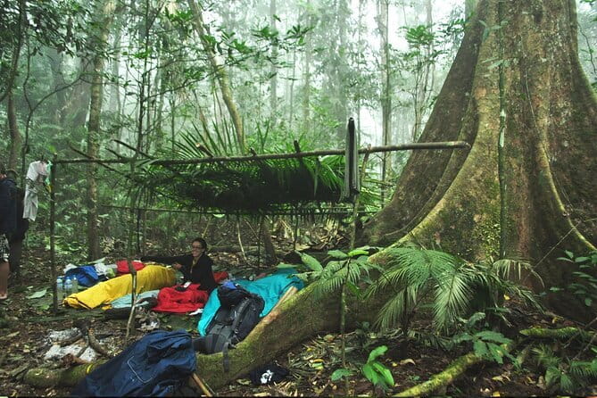 Nam Ha NPA 3 Day Wildlife Jungle Camp and Village Homestay Trek - Key points you’ll care about
