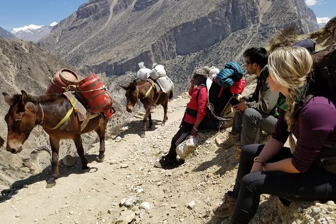Nar Phu Valley Trek - 12 Days - Why Nar Phu Feels Different Than Most Nepal Treks
