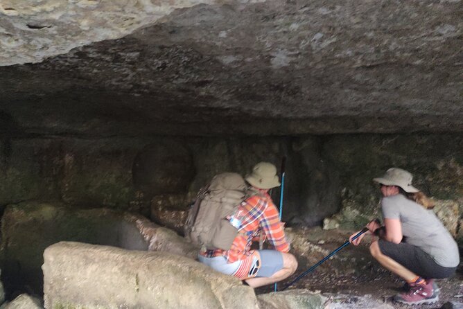 Nature Reserve ,Trekking Eco Tour in Iblei National Park - How the 3:00 pm timing changes the experience