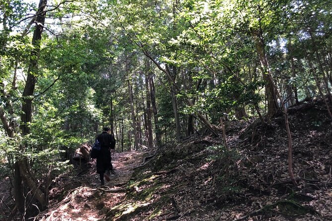 Ninja Trekking half-day tour at Mt.Daimonji Kyoto - Price and value: what $347.48 buys in Kyoto terms