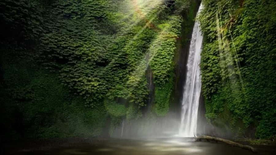 North Bali: Explore Munduk Waterfall Trekking Experience - How the Munduk waterfall trek works in a 5–8 hour day