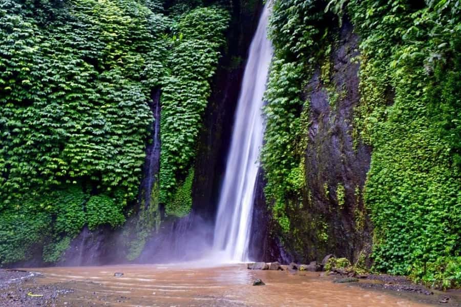 North Bali: Explore Munduk Waterfall Trekking Experience - Your route is four waterfalls plus a working farm trail