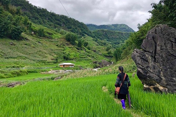 Number one top rated ethical cultural trekking and homestay by ETHOS - Day 1: 14km Through Rice Terraces, Villages, and a Serious Climb