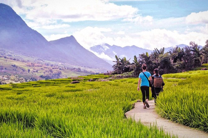 Number one top rated ethical cultural trekking and homestay by ETHOS - Your Homestay Night: Sleep in the Rice-Paddy World