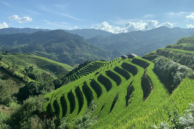 Number one top rated ethical cultural trekking and homestay by ETHOS - Day 2: Flexible Hiking, Then an Afternoon Taxi Back to Sapa