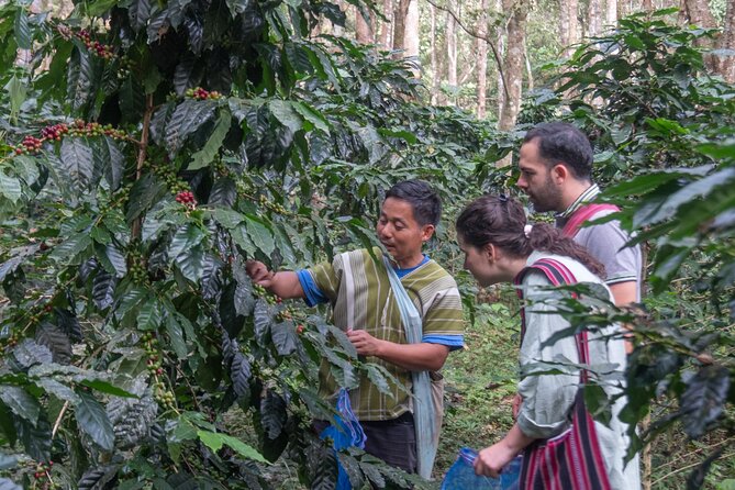 Off the Map Chiang Mai Jungle Coffee Trek Roast and Brew - Roasting masterclass: controlling heat, not just smelling coffee
