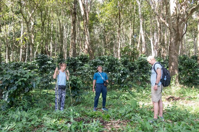 Off the Map Chiang Mai Jungle Coffee Trek Roast and Brew - The V60 brewing workshop: learn the technique you can repeat at home