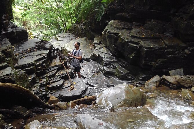 Okinawa Jungle Trails & Waterfalls – Private Yanbaru Tour - Key Highlights You’ll Actually Care About