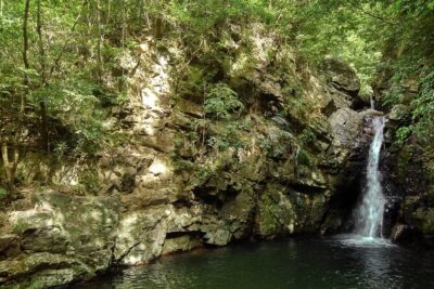 Okinawa Jungle Trails & Waterfalls – Private Yanbaru Tour - What You’ll Experience on the River Trek (Not Just Pretty Views)