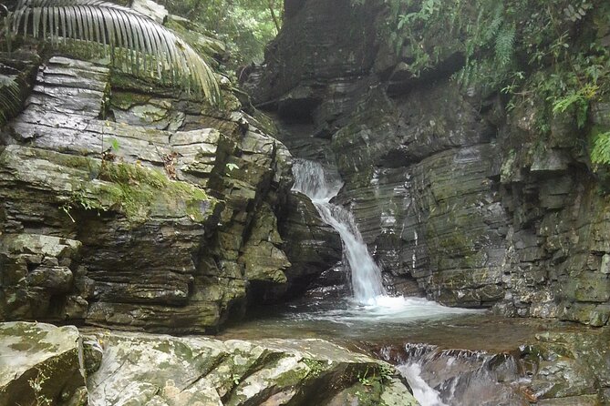 Okinawa Jungle Trails & Waterfalls – Private Yanbaru Tour - Guide Nik’s Approach: Safety, Pace, and Small Comforts