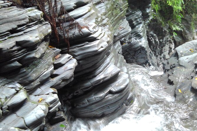 Okinawa Jungle Trails & Waterfalls – Private Yanbaru Tour - Difficulty Level: How to Choose the Right Version of This Day