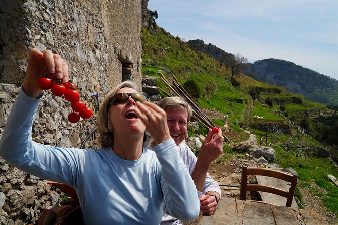 On the Path of the Gods: private trekking and shepherd snack - Views you’ll plan around: Capri, Li Galli, and Positano’s cliffs
