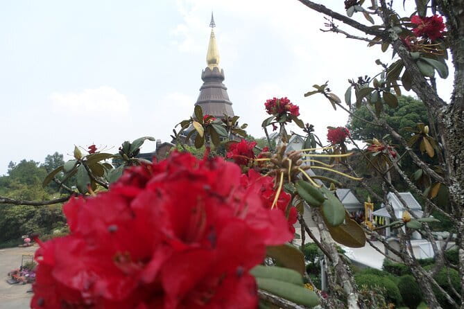 One day Doi Inthanon National Park & Trekking on Kew Mae Pan - Hmong Hill Tribe Market + Included Lunch: A Real Cultural Break