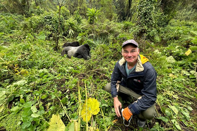 One Day Gorilla Trekking Rwanda & Iby'iwacu Cultural Village - Gorilla trekking: what you’ll actually notice once you’re near them