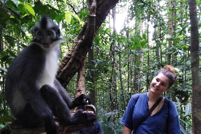 ONE DAY JUNGLE TREKKING 6-7 hours (see orang utan) + RAFTING in BUKIT LAWANG - Price and Value: What $90.70 Buys You (and What It Doesn’t)