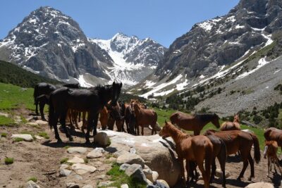 One day Trek in Osh to Sacred Sites and Panoramic Views - Kyrgyz pilgrim sites: why the praying house matters more than the photo