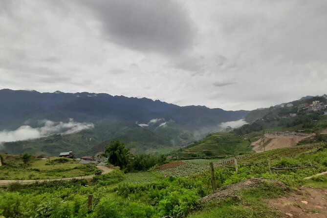 One day Trekking in Sapa and Muong Hoa Valley with local guide - Sapa Market as your culture warm-up (not just souvenir time)